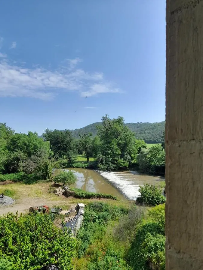 Chambre Au Moulin Sur Aveyron Διαμέρισμα La Rouquette