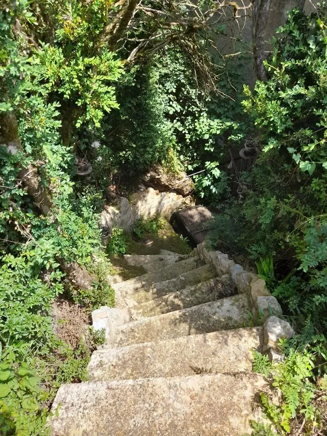 Chambre Au Moulin Sur Aveyron Διαμέρισμα La Rouquette Δωμάτια σε οικογενειακή κατοικία